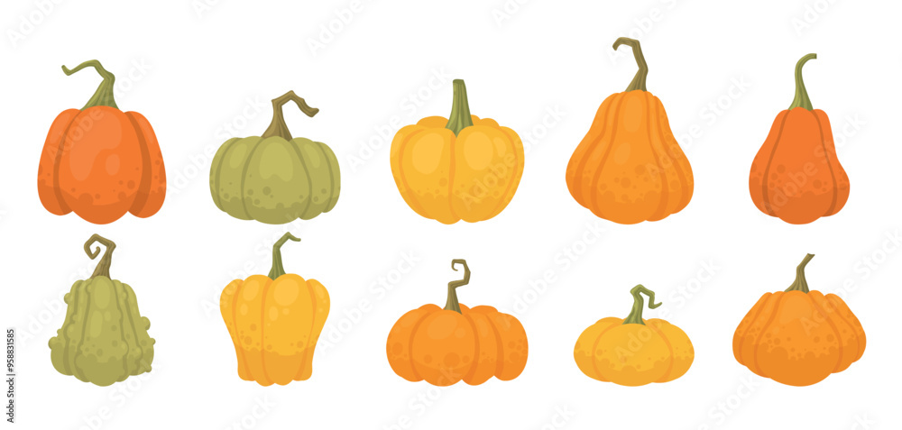 Cartoon pumpkins, halloween squash, fall harvest gourds. Pumpkins, squash and leaves vector symbols illustrations. Autumn thanksgiving and halloween pumpkins collection Cartoon pumpkins, halloween squash, fall harvest gourds. Pumpkins, squash and leaves vector symbols illustrations. Autumn thanksgiving and halloween pumpkins collection