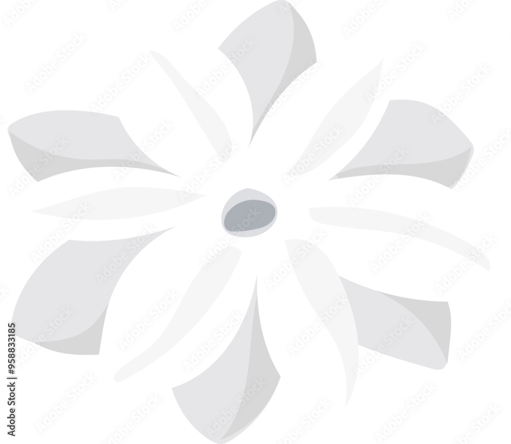 White jasmine illustration on transparent background.
White jasmine illustration on transparent background.