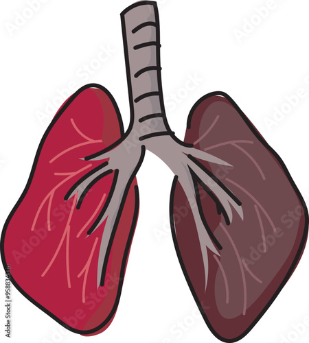 Cartoon smoker lungs illustration on transparent background.
