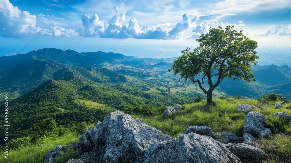 Breathtaking Mountain Vista with Lone Tree Breathtaking Mountain Vista with Lone Tree