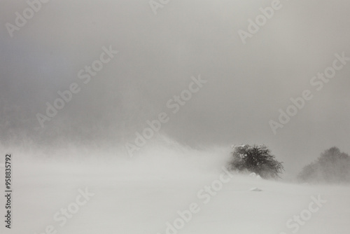 Tempête neige 