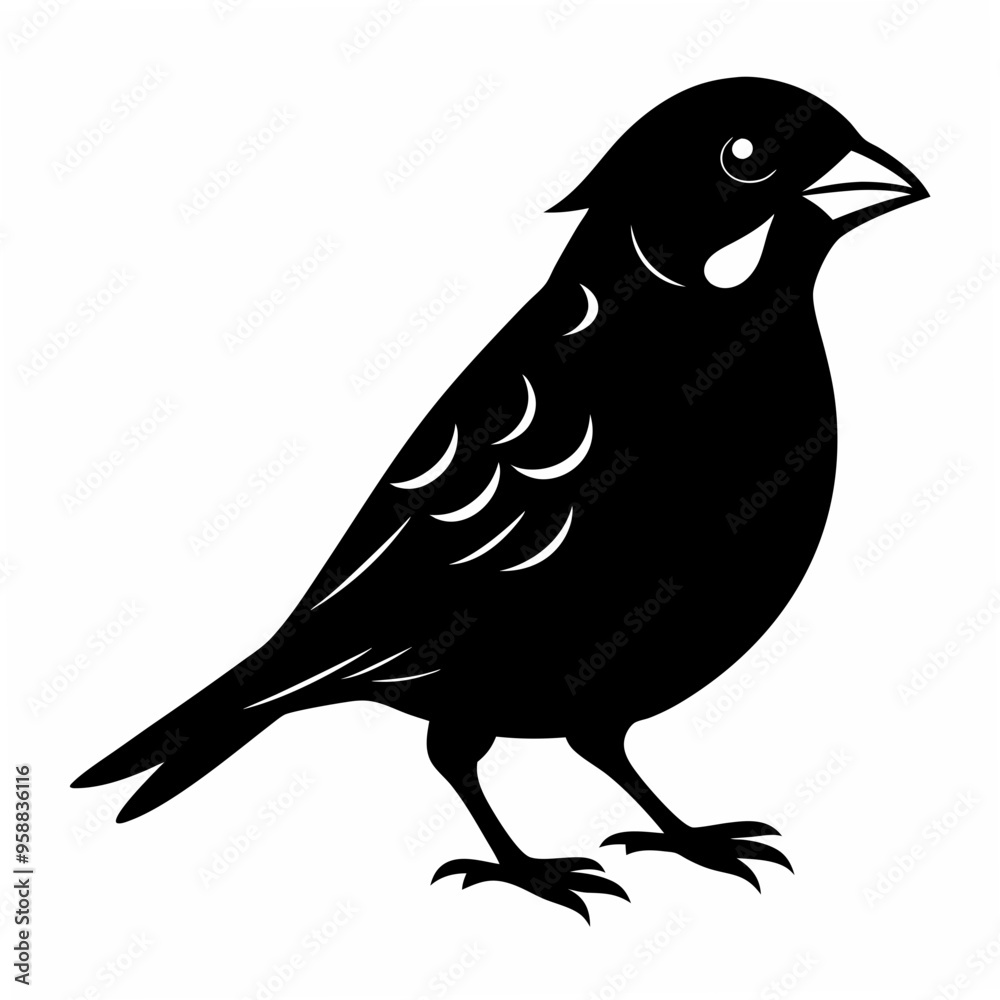 Sparrow Black silhouette Sparrow Black silhouette