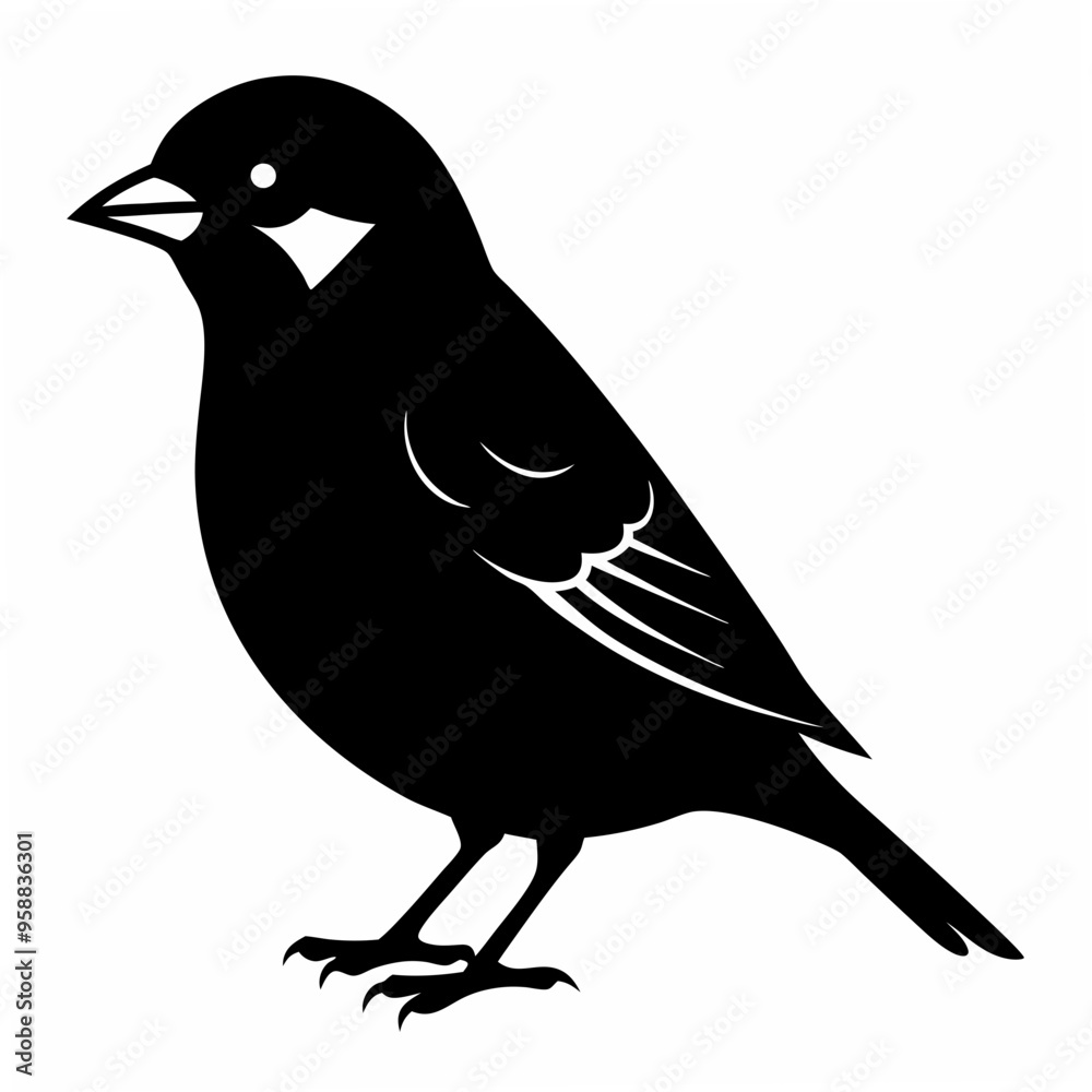 Fototapeta premium Sparrow Black silhouette
