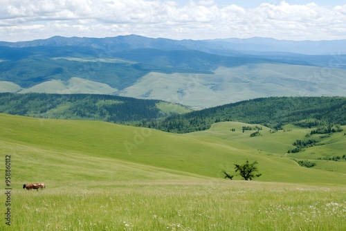 Green Hills and Mountains Landscape with Lone Tree