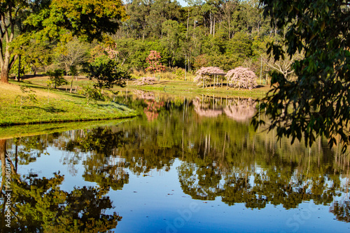 Paisagem de um parque da cidade, muito arborizado, com um lago e algumas árvores floridas. photo