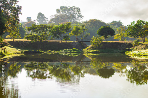 Paisagem de um parque muito arborizado, com um lago de água reluzente e algumas árvores. photo