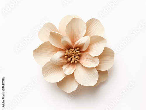 Tan flower isolated on white background, flat lay