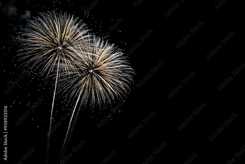 A Symphony of Light: Fireworks Exploding Against a Dark Night Sky A Symphony of Light: Fireworks Exploding Against a Dark Night Sky