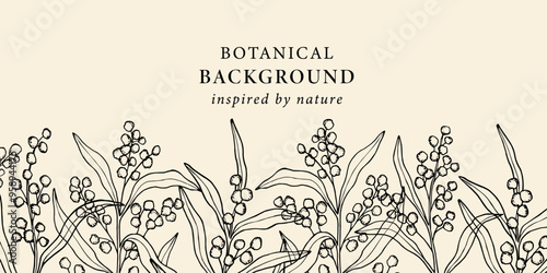 Hand drawn wattle background. Australian native flower photo