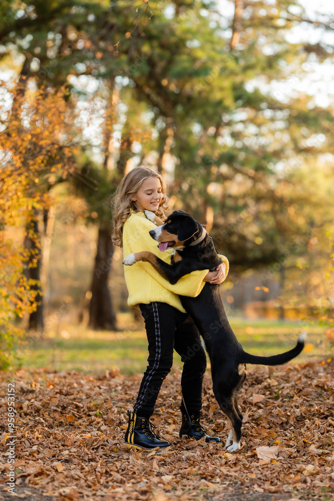 little teenage girl walks with her dog in the autumn in the forest little teenage girl walks with her dog in the autumn in the forest