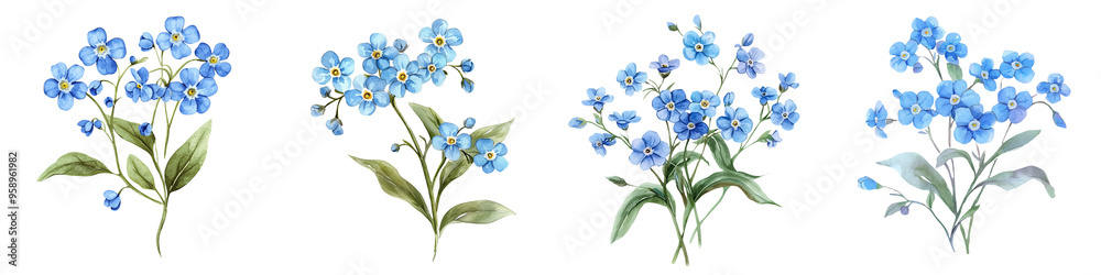 Fototapeta premium Beautiful clusters of delicate blue flowers, ideal for nature-themed designs or botanical illustrations.
