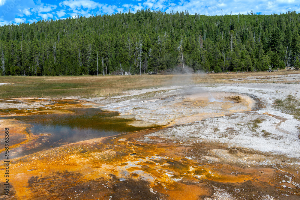 Yellowstone springs at the Yellowstone National Park Yellowstone springs at the Yellowstone National Park