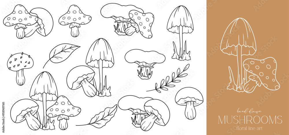 Mushrooms outline isolated on white. Mushrooms ine art ilustration. Fall Mushrooms Hand Drawn. Fall Coloring Page. Thanksgiving graphics