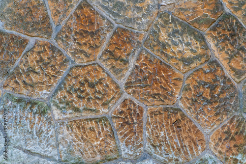 Turtle Shell Texture Hexagonal Pattern Nature Closeup Detail