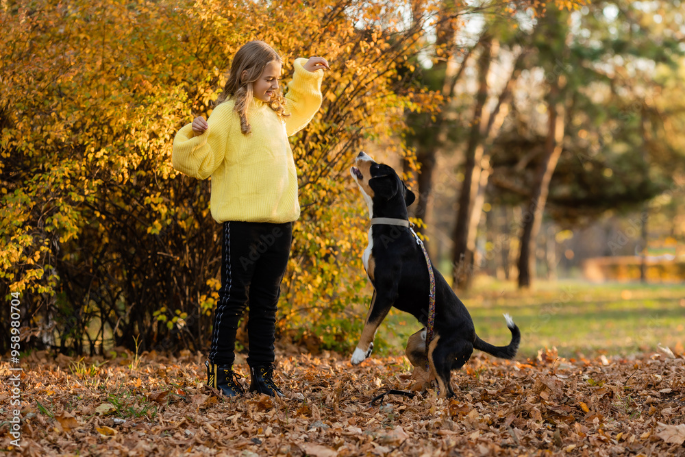 little teenage girl walks with her dog in the autumn in the forest little teenage girl walks with her dog in the autumn in the forest