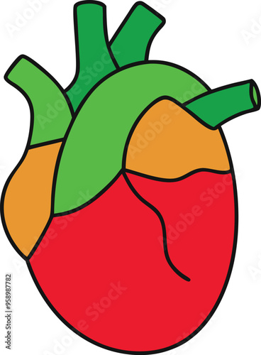 Cross-section of a heart reveals the atria and ventricles showcasing the heart’s complex anatomy and blood flow pathways
