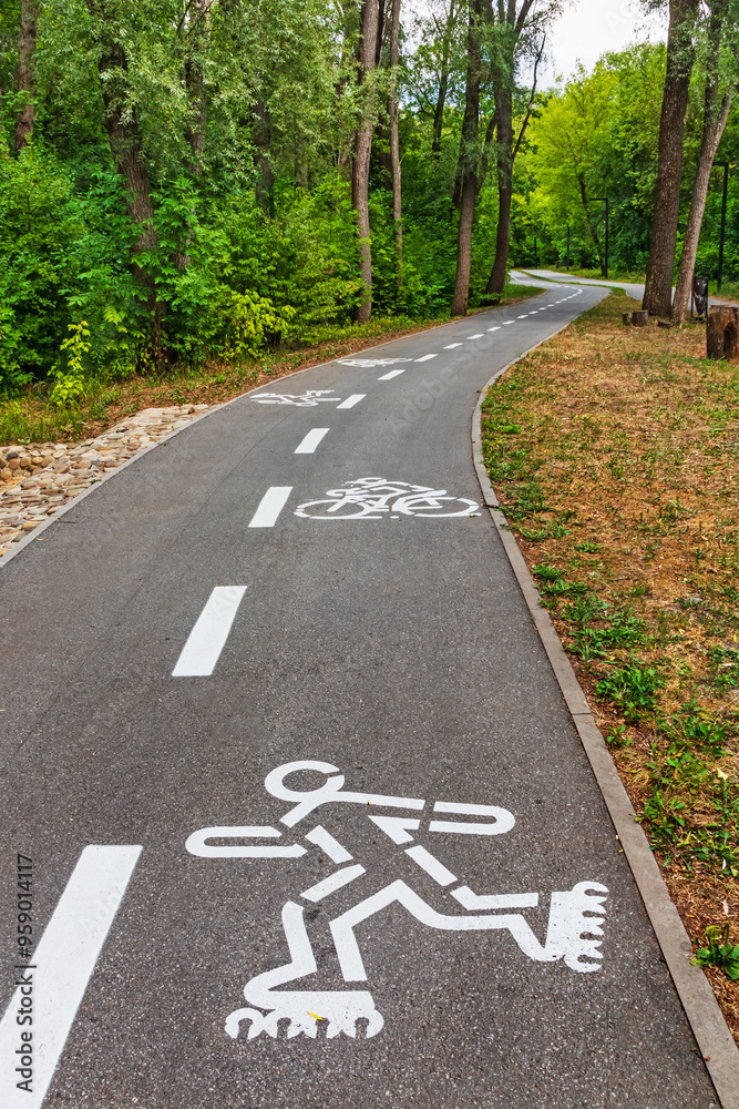 Obraz premium A bicycle path in a picturesque park or forest with deciduous trees. White markings with a symbol of a cyclist and roller skates