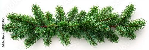 A lush garland of pine branches isolated on a white background.