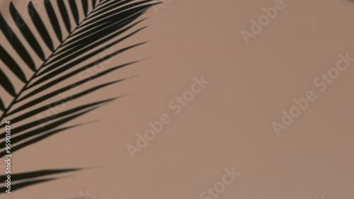 Palm leaf motion on brown background