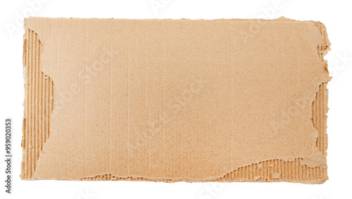 Piece of torn cardboard on a white background. Torn cardboard isolate