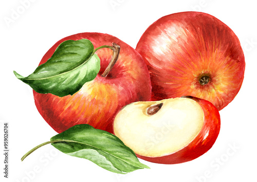 Red sweet Apples, Hand drawn watercolor illustration  isolated on white background
