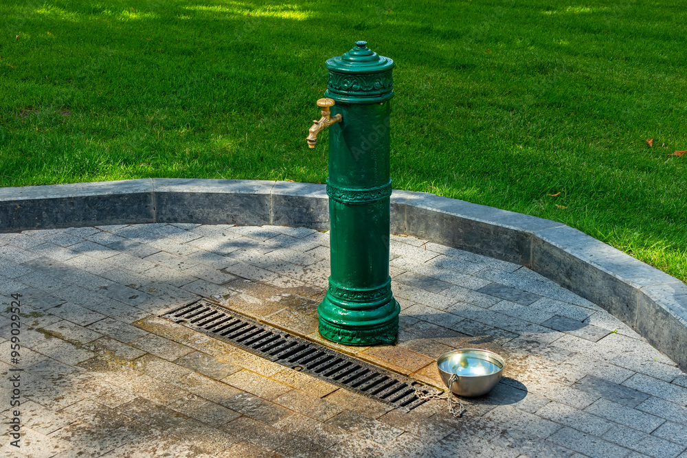 Iron green column with tap - water source in park or city garden. Iron plate with water for dogs and animals on the street. Steel bowl on stone pavement Iron green column with tap - water source in park or city garden. Iron plate with water for dogs and animals on the street. Steel bowl on stone pavement