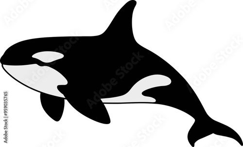 Orca