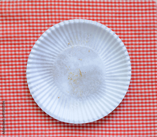 Paper plate on a red checkered cloth