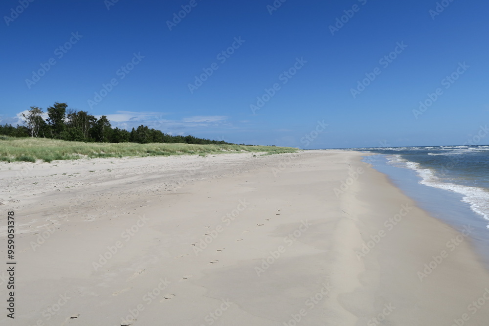 Dünen reichen in Sandhammeren in Ystad an den Ostseestrand in Schweden. Dahinter ist eine Baumreihe zu sehen. Es ist ein sonniger Sommertag, und am Himmel sind nur wenige Wolken. Dünen reichen in Sandhammeren in Ystad an den Ostseestrand in Schweden. Dahinter ist eine Baumreihe zu sehen. Es ist ein sonniger Sommertag, und am Himmel sind nur wenige Wolken.