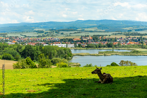 Eine wunderschöne frühlingshafte Wanderung rund um den Pleß Berg & der Burgruine Frankenberg bei Breitungen - Thüringen - Deutschland photo