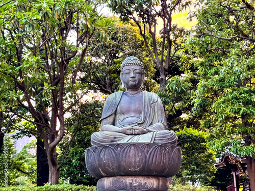 Buddha statue inside Tokyo park