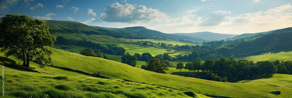 A panoramic view of the Yorkshire Dales, England, showcasing rolling green hills, lush meadows, and a scattering of trees. The image evokes a sense of peace, tranquility, and natural beauty. A panoramic view of the Yorkshire Dales, England, showcasing rolling green hills, lush meadows, and a scattering of trees. The image evokes a sense of peace, tranquility, and natural beauty.