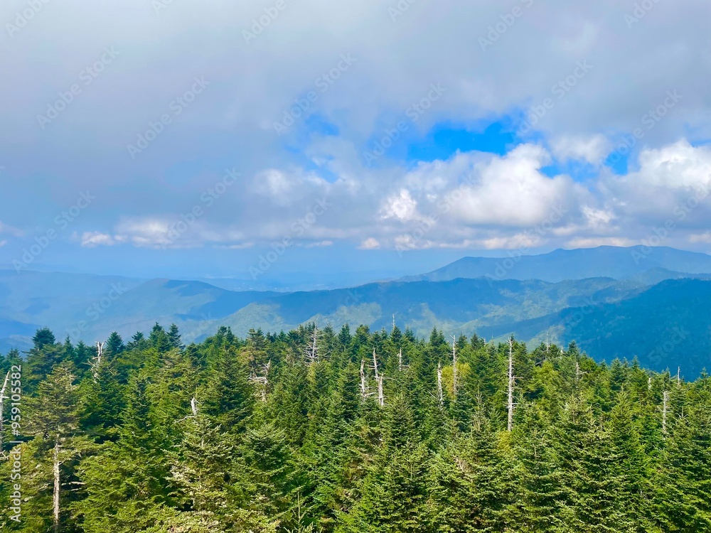 Landscape Landscape