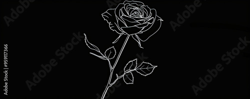 A simple white line drawing on a black background of a single rose with intricate petals. The stark contrast enhances the gracefulness of the flower.