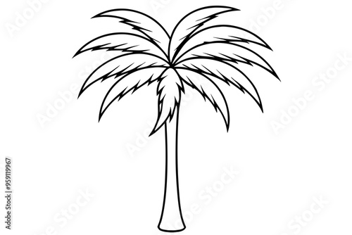 palm tree silhouette