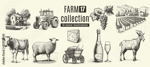 Farm animals, cows, rural houses. Hand drawn set.