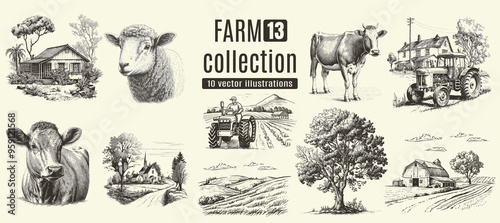 Farm animals, cows, rural houses. Hand drawn set.