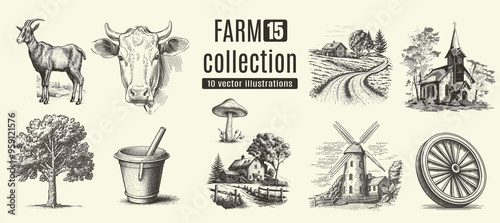 Farm animals, cows, rural houses. Hand drawn set.