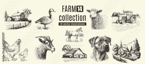 Farm animals, cows, rural houses. Hand drawn set.