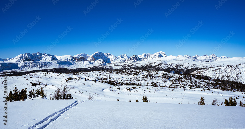 Fototapeta premium Ski tracks leading toward the Snow covered Canadian Rocky Mountains