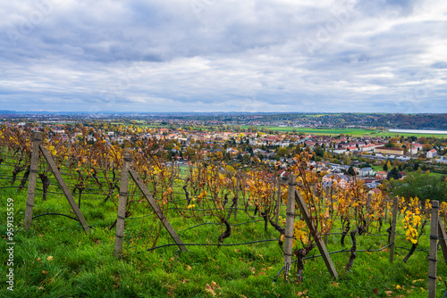 Castle of Wackerbarth, Germany. Wine terraces. Radebeul. Germany. Autumn. photo