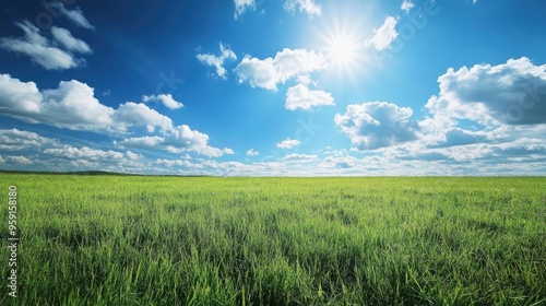 Expansive meadow of green grass stretching towards a bright blue sky with white clouds. Nature in its purest form.