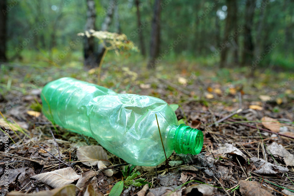 Obraz premium Plastic bottle thrown away in forest. Garbage in nature, reusable products. Rubbish thrown in forest. PET Plastic water bottle thrown out in nature. Waste in nature. Abandoned pet garbage waste.