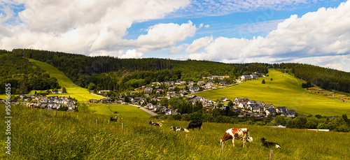 Billede på lærred willingen germany in summer panorama