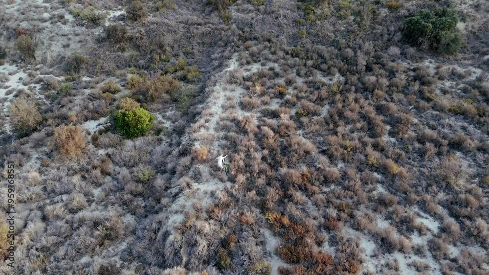 Aerial Flight. Drone cinematic shot Cyclist rides along mountain ridge, enjoying view and challenge. Aerial view of beautiful mountain landscape Aerial Flight. Drone cinematic shot Cyclist rides along mountain ridge, enjoying view and challenge. Aerial view of beautiful mountain landscape