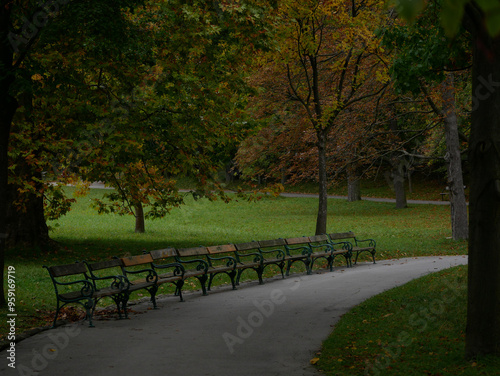 Benches in the shade of trees. Park Turkenschanzpark in Vienna in autumn photo