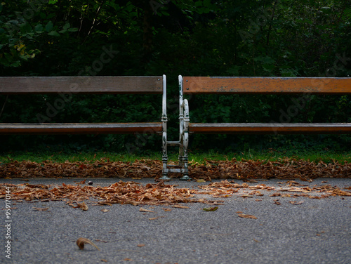 Two benches close up. Autumn colored fallen leaves lie on the ground. Park Turkenschanzpark in Vienna in autumn photo