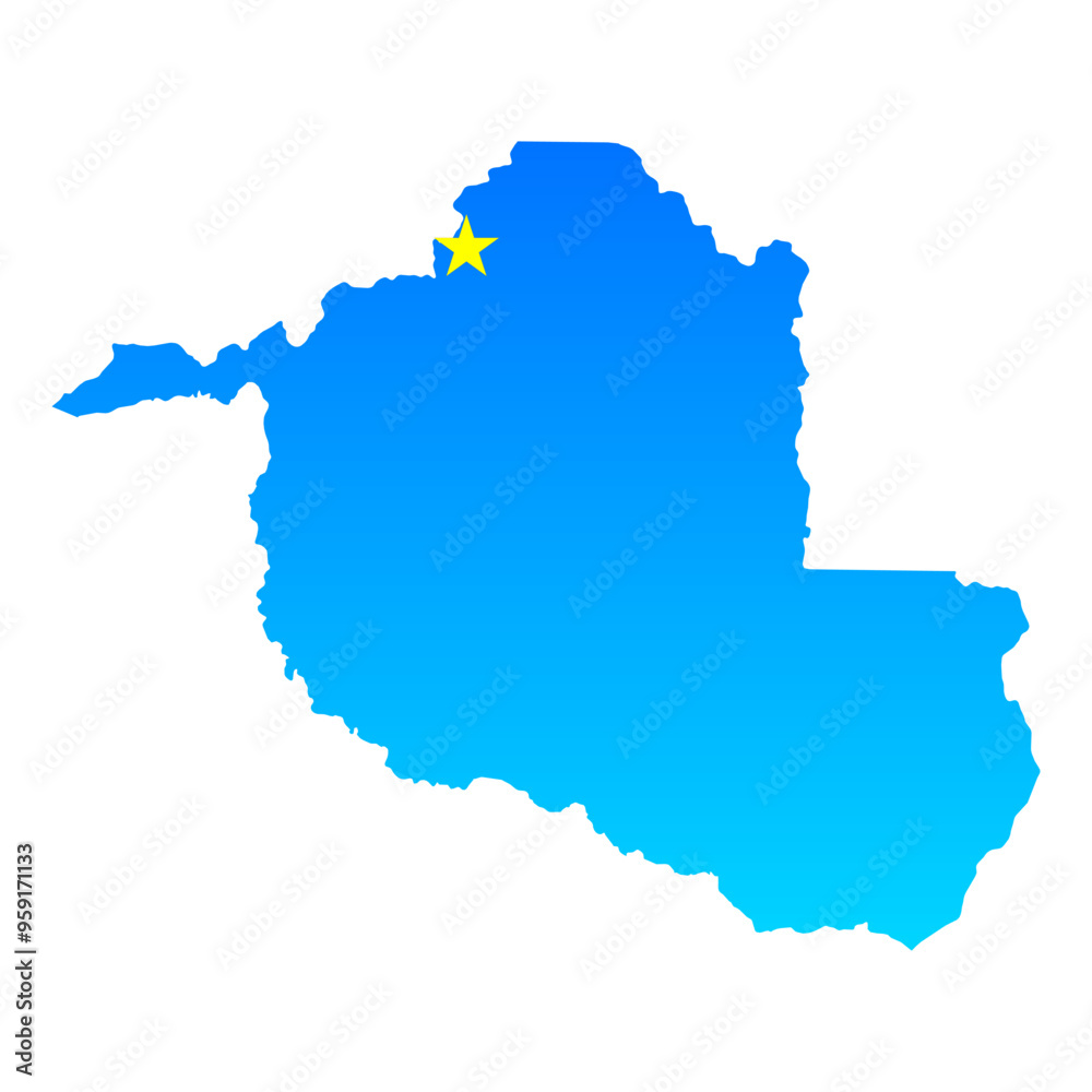 Map of Rondonia with its capital Porto Velho in Brazil with a professional blue style Map of Rondonia with its capital Porto Velho in Brazil with a professional blue style