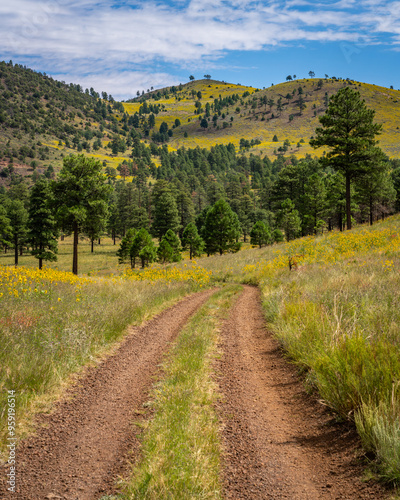 Amazing roadways and open roads in Arizona, America, USA.
