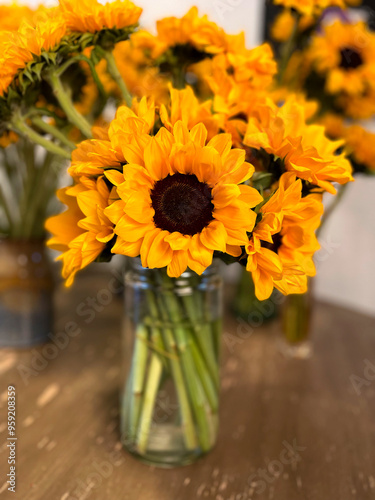 Wallpaper Mural Sunflower Portrait 02 Torontodigital.ca